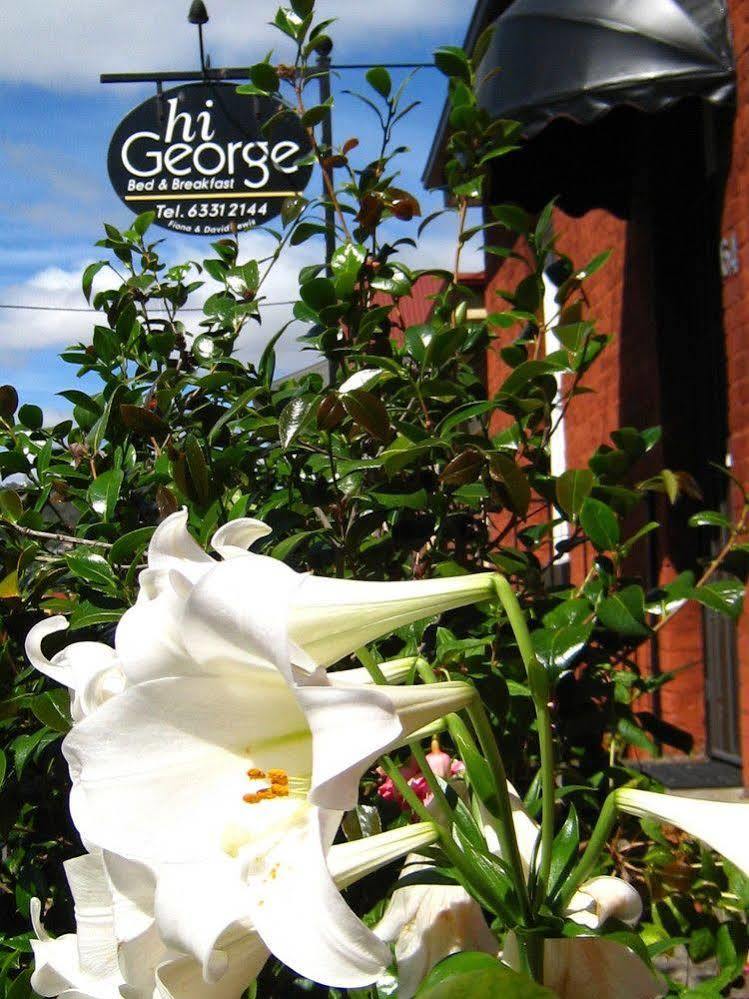 לונסטון Hi George B&B מראה חיצוני תמונה
